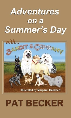 Adventures on a Summer's Day book