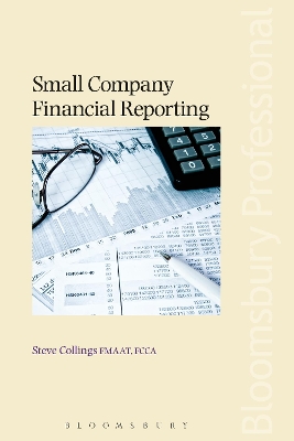 Small Company Financial Reporting book