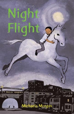 Night Flight book
