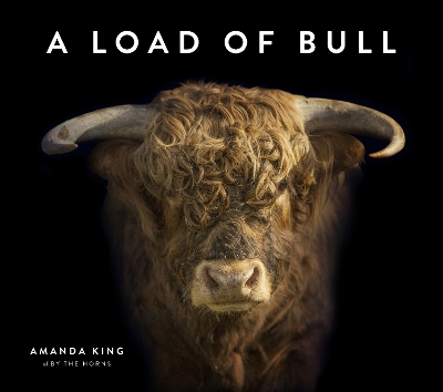 A Load of Bull book