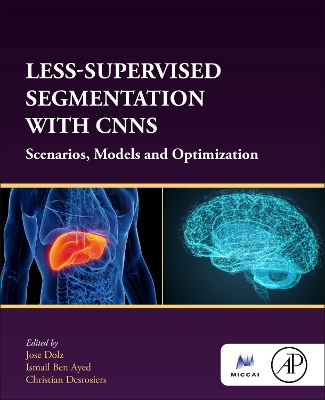 Less-Supervised Segmentation with CNNs: Scenarios, Models and Optimization book