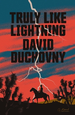 Truly Like Lightning: A Novel book