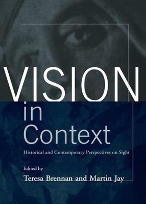 Vision in Context book