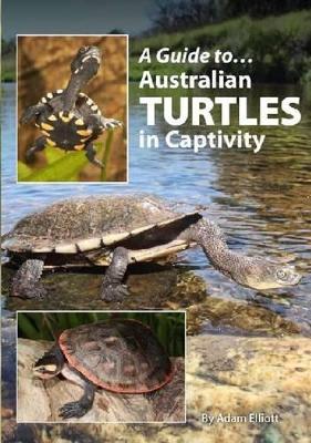 Australian Turtles In Captivity book