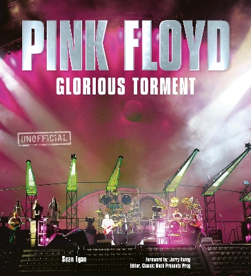Pink Floyd: Glorious Torment book