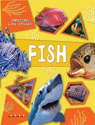 Amazing Life Cycles: Fish book