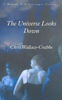 Universe Looks Down book