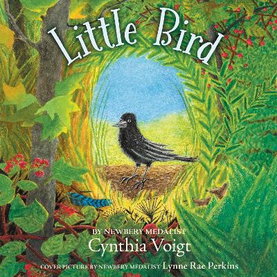 Little Bird book