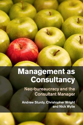 Management as Consultancy book