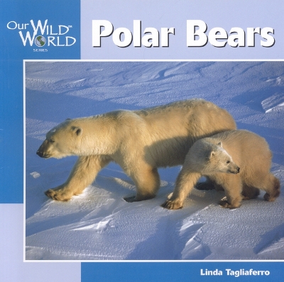 Polar Bears book