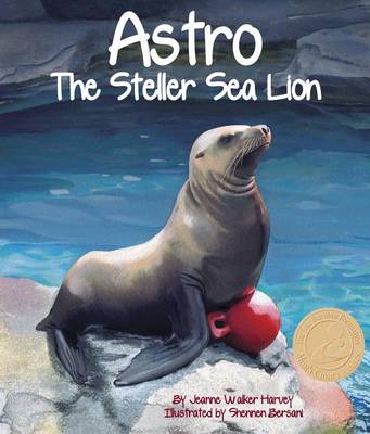 Astro book