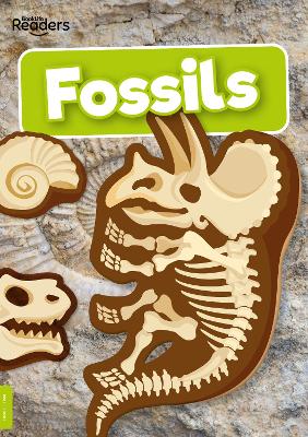 Fossils book