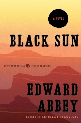 Black Sun book