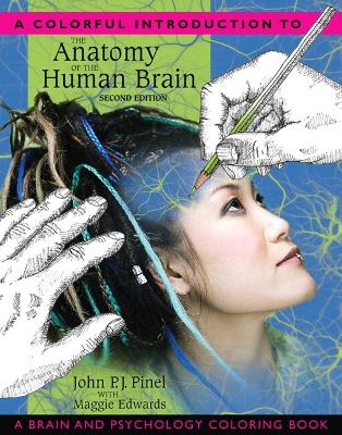 Colorful Introduction to the Anatomy of the Human Brain book