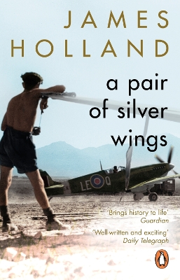 A Pair of Silver Wings book