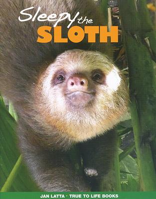 Sleepy the Sloth book