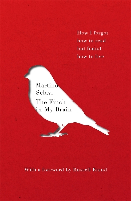 The Finch in My Brain by Martino Sclavi
