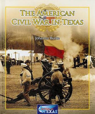 American Civil War in Texas book