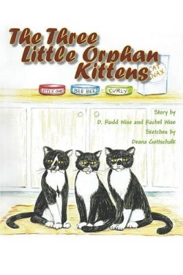 The Three Little Orphan Kittens book