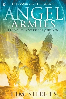 Angel Armies book