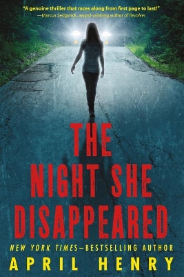 Night She Disappeared book