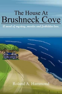 The House At Brushneck Cove: A Novel of Mystery, Murder and Forbidden Love. book