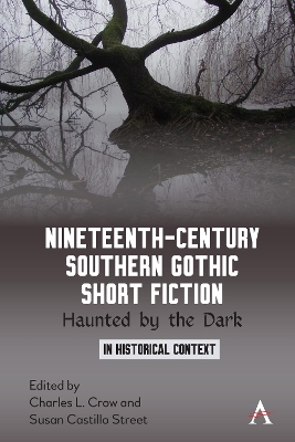 Nineteenth-Century Southern Gothic Short Fiction: Haunted by the Dark book