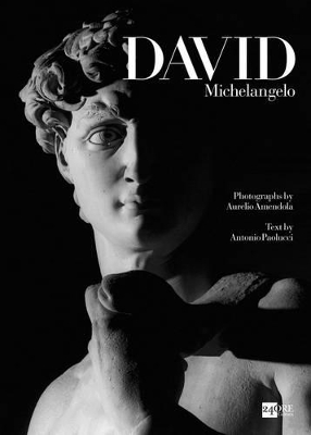 Michelangelo's David book