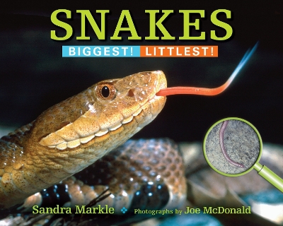 Snakes book