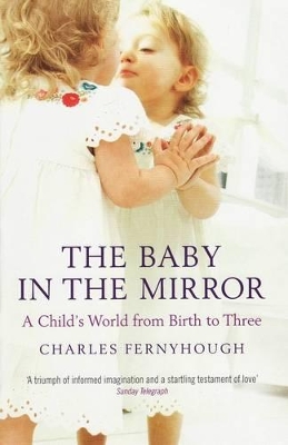 Baby in the Mirror book