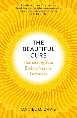 Beautiful Cure book