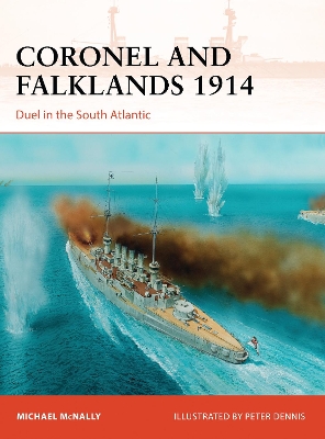 Coronel and Falklands 1914 book