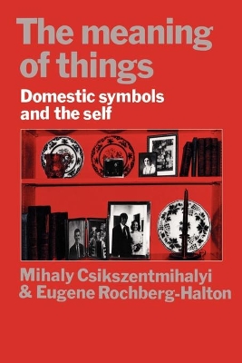 Meaning of Things book