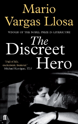 Discreet Hero book