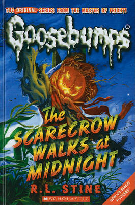 Scarecrow Walks at Midnight book