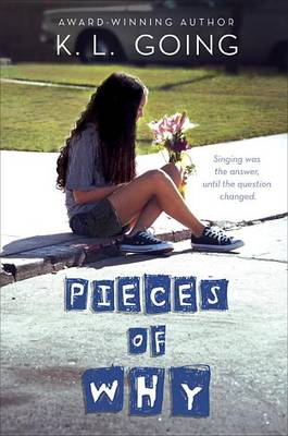 Pieces of Why book