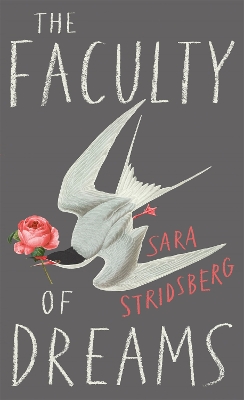 The The Faculty of Dreams: Longlisted for the Man Booker International Prize 2019 by Sara Stridsberg