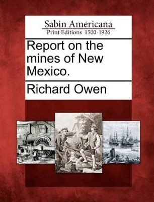 Report on the Mines of New Mexico. book