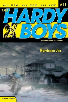 Hurricane Joe book