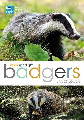 RSPB Spotlight: Badgers book