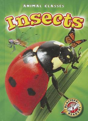 Insects book
