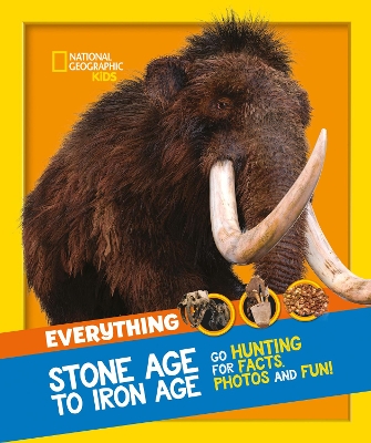 Everything: Stone Age to Iron Age: Go hunting for facts, photos and fun! (National Geographic Kids) book