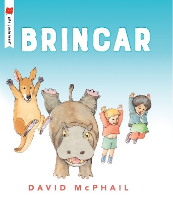 Brincar book