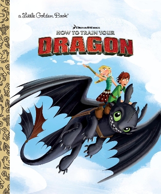 Dreamworks How to Train Your Dragon book