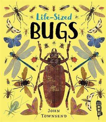 Life-Sized Bugs book