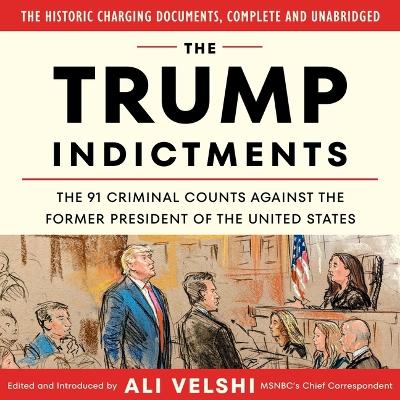 The Trump Indictments: The 91 Criminal Counts Against the Former President of the United States book