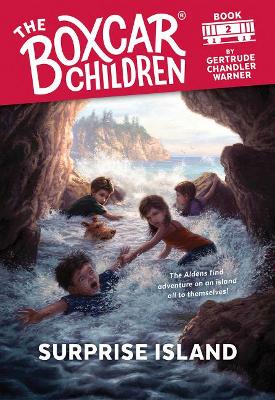 Surprise Island book