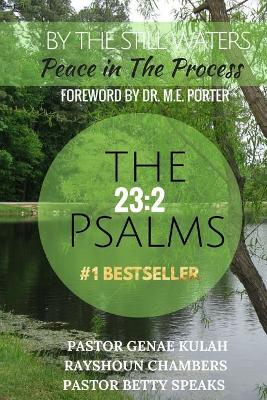 By the Still Waters book