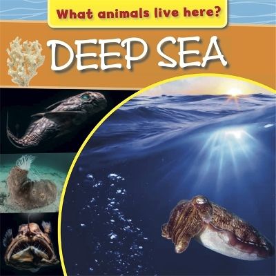 What Animals Live Here?: Deep Sea book