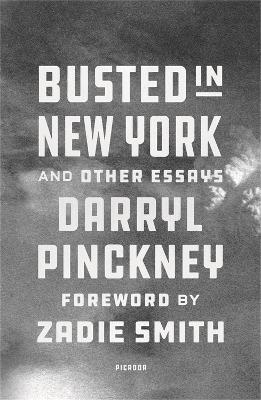 Busted in New York & Other Essays: with an introduction by Zadie Smith book